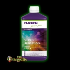 GREEN SENSATION PLAGRON.