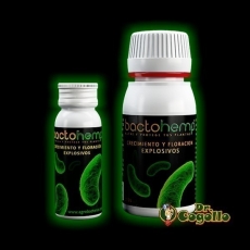 BACTOHEMP Agrobacterias.