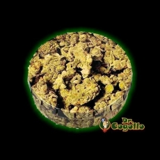 CAJA CLICK-CLACK "BUDS".
