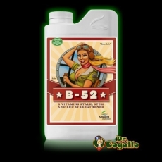 B-52 Advanced Nutrients.