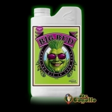 BIG BUD Advanced Nutrients.