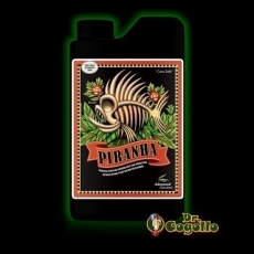 PIRANHA Advanced Nutrients.