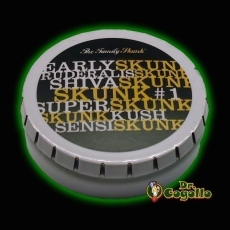 CAJA GREENKLAKBOX "THE FAMILY SKUNK". 