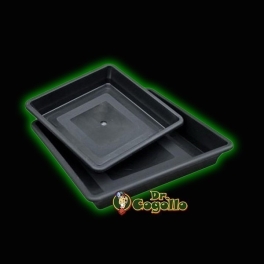PLATO CUADRADO NEGRO 18/20