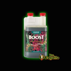 CANNA BOOST ACELERATOR.