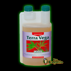 TERRA VEGA CANNA