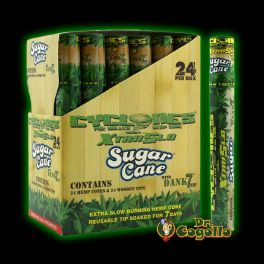CYCLONES HEMP CONES "SUGAR CANE" .
