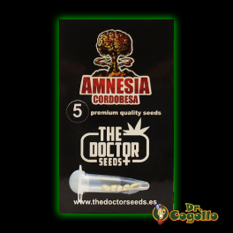 COMPRAR SEMILLAS AMNESIA CORDOBESA THE DOCTOR SEEDS DOCTOR COGOLLO GROW SHOP RAPIDO BARATO