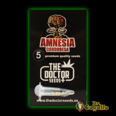 COMPRAR SEMILLAS AMNESIA CORDOBESA THE DOCTOR SEEDS DOCTOR COGOLLO GROW SHOP RAPIDO BARATO