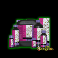 B'Cuzz BLOOM STIMULATOR Atami.