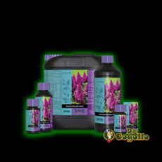 B'Cuzz BLOSSOM BUILDER LIQUID Atami.