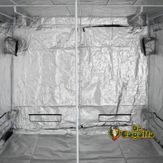ARMARIO PURE TENT VERS 2.0 SQUARE 240X240X200 CM.