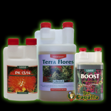 PACK FLORACION CANNA.