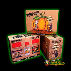 BUD PACK Top Crop.