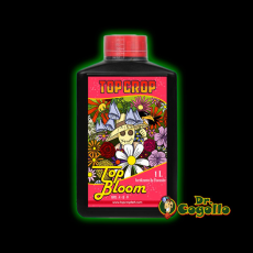 TOP BLOOM Top Crop.