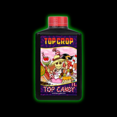 TOP CANDY Top Crop.