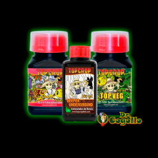 TRI PACK Top Crop.