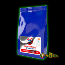 GUANO DE MURCIÉLAGO EN POLVO 1KG Guanokalong®