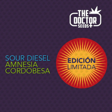 Semillas MARY YEIN - EDICION LIMITADA The Doctor Seeds.