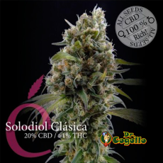 Semillas SOLODIOL CBD Élite Seeds.
