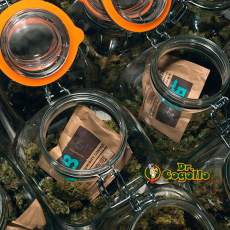 SOBRE CURADO BOVEDA 58% 67 GRAMOS