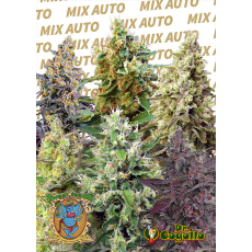 Semillas SWEET MIX AUTO Sweet Seeds.