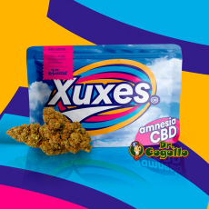 Flores Xuxes CBD AMNESIA 3 GR.