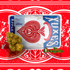 Flores Xuxes CBD APPLE JACK 3 GR.