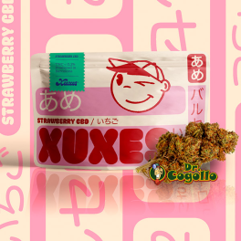 Flores Xuxes CBD STRAWBERRY 3 GR.