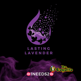 NEUTRALIZADOR OLORES D-ODR MIST 70 ML LASTING LAVENDER (LAVANDA)