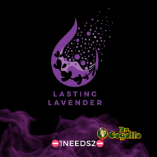 NEUTRALIZADOR OLORES D-ODR MIST 70 ML LASTING LAVENDER (LAVANDA)