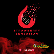 NEUTRALIZADOR OLORES D-ODR MIST 70 ML STRAWBERRY SENSATION (FRESA)