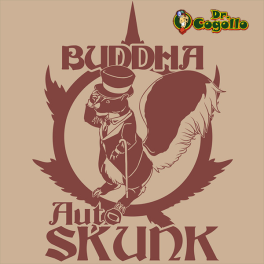 Semillas SKUNK Buddha Classics.