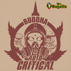 Semillas AUTO CRITICAL Buddha Classics.
