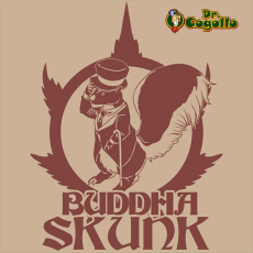 Semillas AUTO SKUNK Buddha Classics. 2