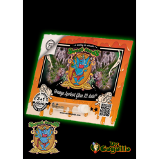 Semillas AUTO ORANGE APRICOT GLUE XL Sweet Seeds.