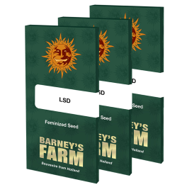 Semillas LSD Barney's Farm