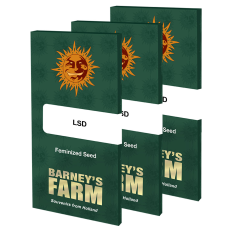 Semillas LSD Barney's Farm