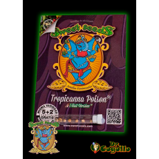 Semillas TROPICANNA POISON F1 FAST VERSION Sweet Seeds.