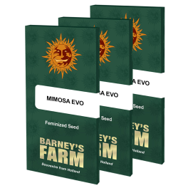 Semillas MIMOSA EVO Barney's Farm
