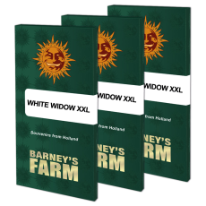 Semillas WHITE WIDOW XXL Barney's Farm - Dr.Cogollo Grow Shop