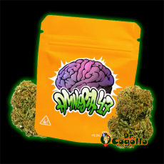 FLORES CBD AMNESIA 47 5 GR GORILLA GRILLZ