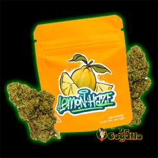 FLORES CBD LEMON HAZE 5 GR GORILLA GRILLZ