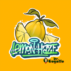 FLORES CBD LEMON HAZE 5 GR GORILLA GRILLZ