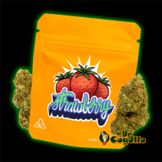 FLORES CBD STRAWBERRY 5 GR GORILLA GRILLZ