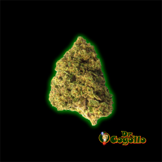 Flores CBD ZKITTLEZ 5 GR Gorilla Grillz
