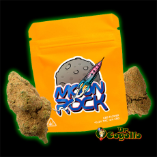 MOON ROCK 3 GR. Gorilla Grillz