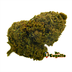 Flor CBD AK-47 Bee Products - Dr.Cogollo CBD Shop