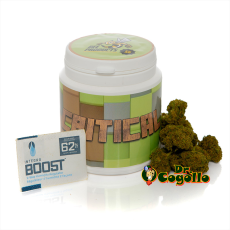 Flor CBD CRITICAL Bee Products - Dr.Cogollo CBD Shop