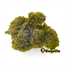 Flor CBD CRITICAL Bee Products - Dr.Cogollo CBD Shop